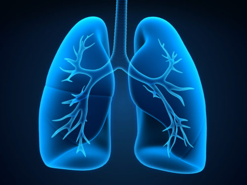 Pneumococcal - Blue lungs - VIVA! Communications