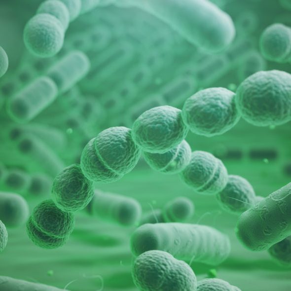 Various bacteria cells in microscope. Streptococcus pneumonia, pneumococcus, enterobacteriaceas, escherichia coli, salmonella, klebsiella and others. 3d illustration