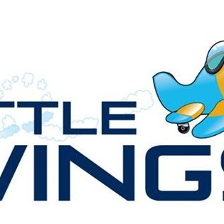 littlewings-640x315